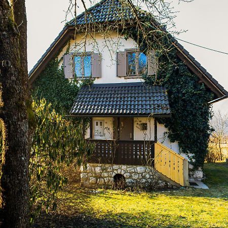 Magical Family Home 84 Бохінь Екстер'єр фото